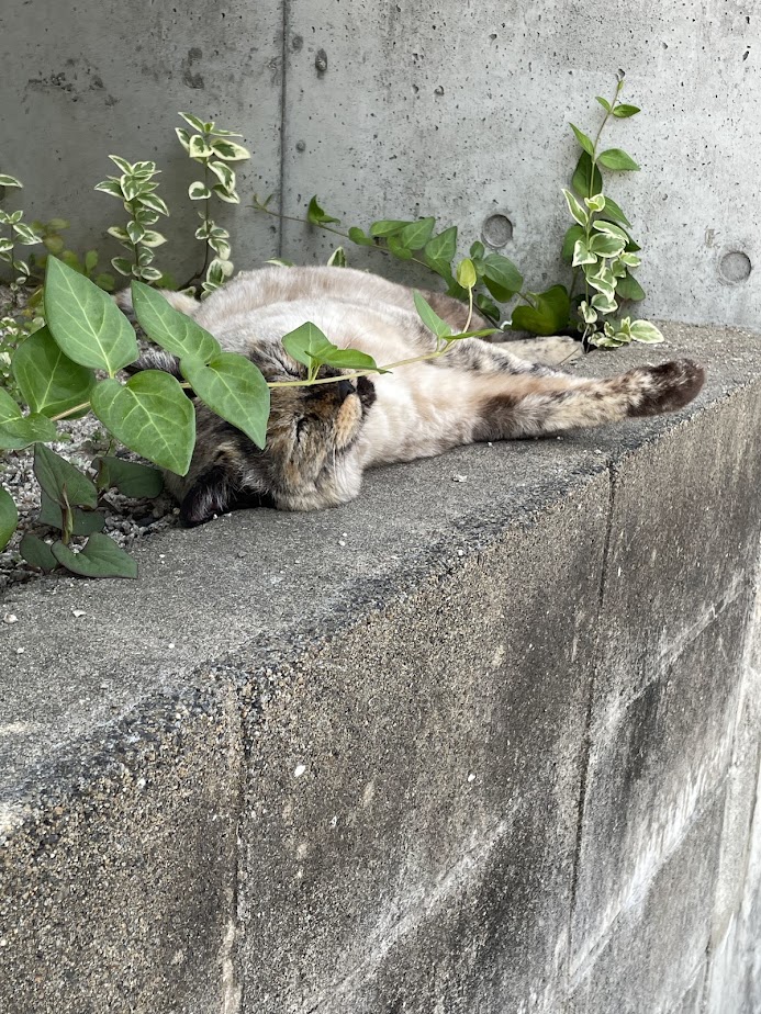 バイバイ2025年、ハロー2026年（前編）